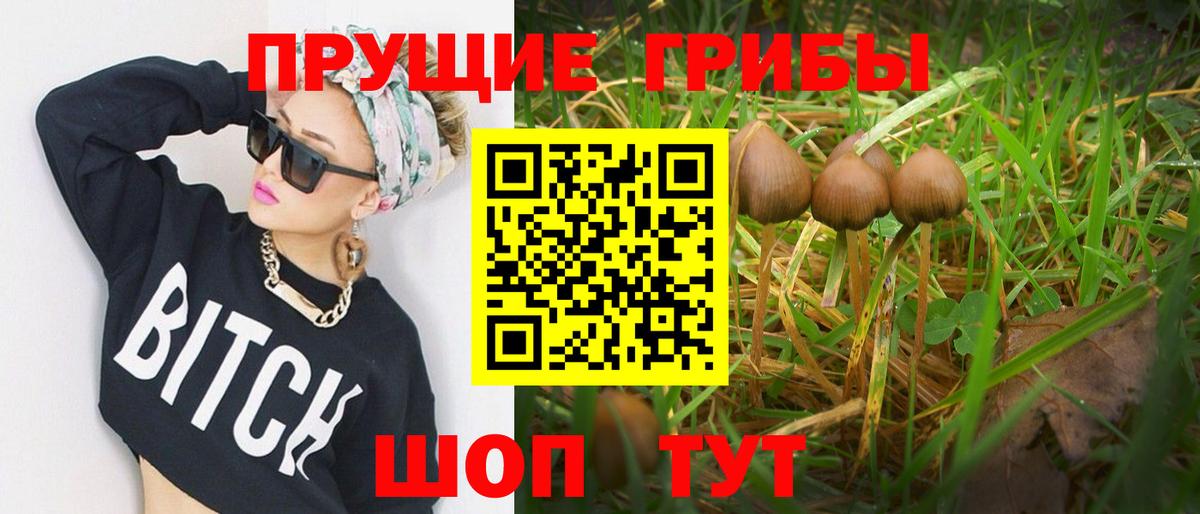 Псилоцибиновые грибы мухоморы Набережные Челны