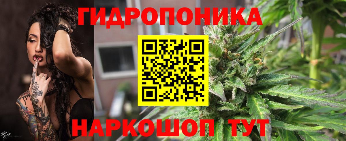 Набережные Челны  МАРИХУАНА план  Вход с VPN  МАРИХУАНА гибрид  Бошки марихуана тримм 